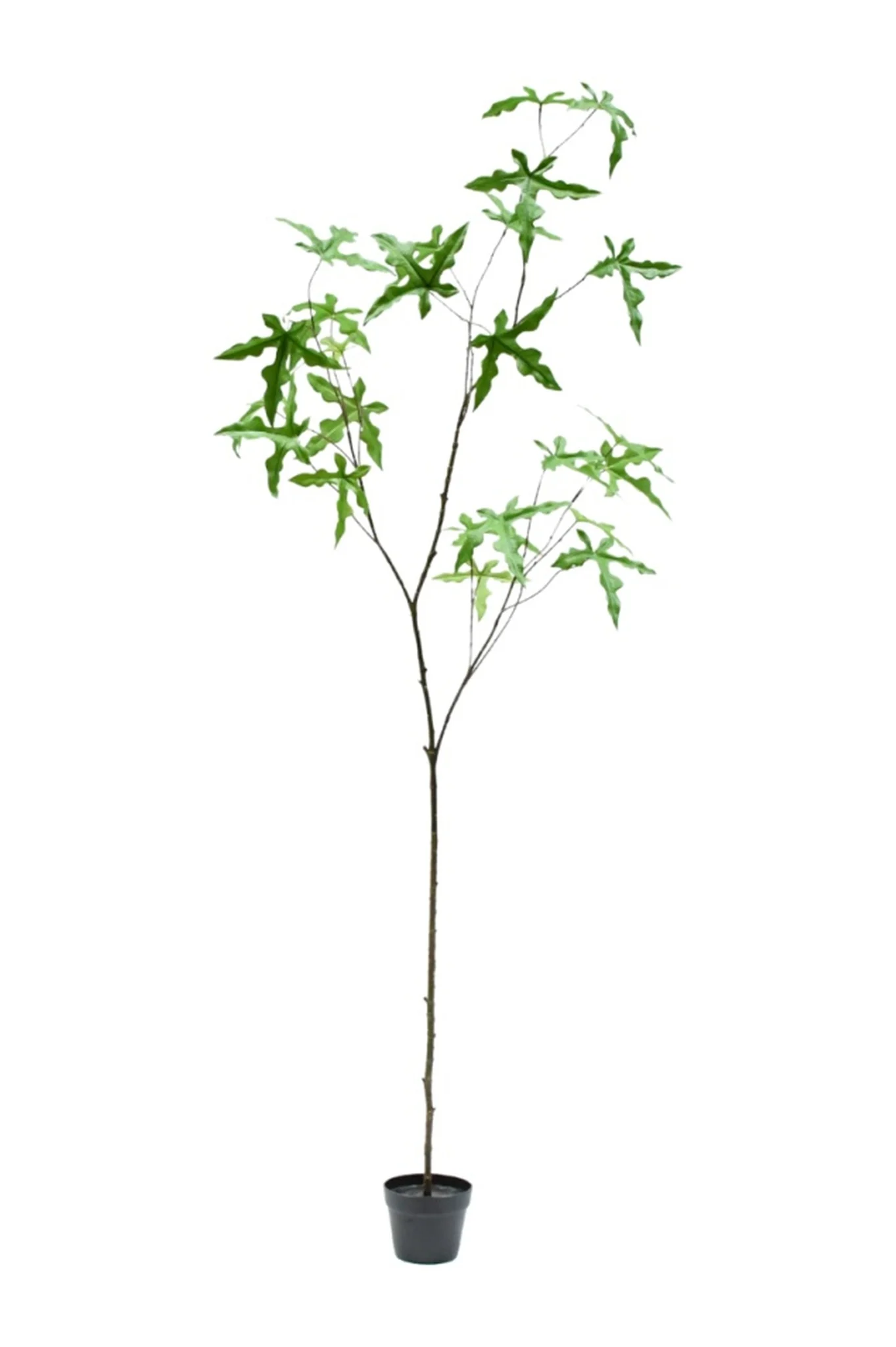 Naturtro kunstig grøn plante i elegant hvid krukke perfekt til stilfuld indretning og vedligeholdelsesfri grønne rum