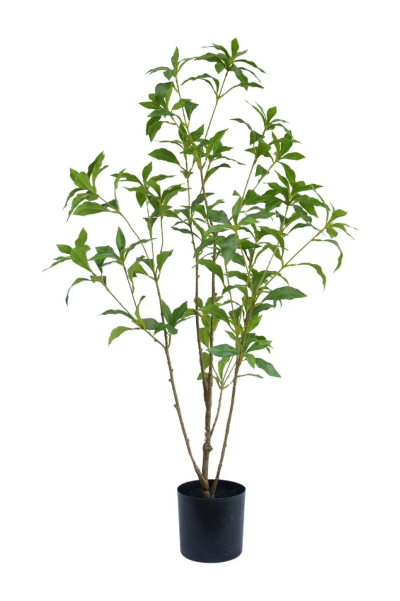 Naturtro kunstig grøn plante i elegant sort krukke til stilfuld indretning fra Klode Living