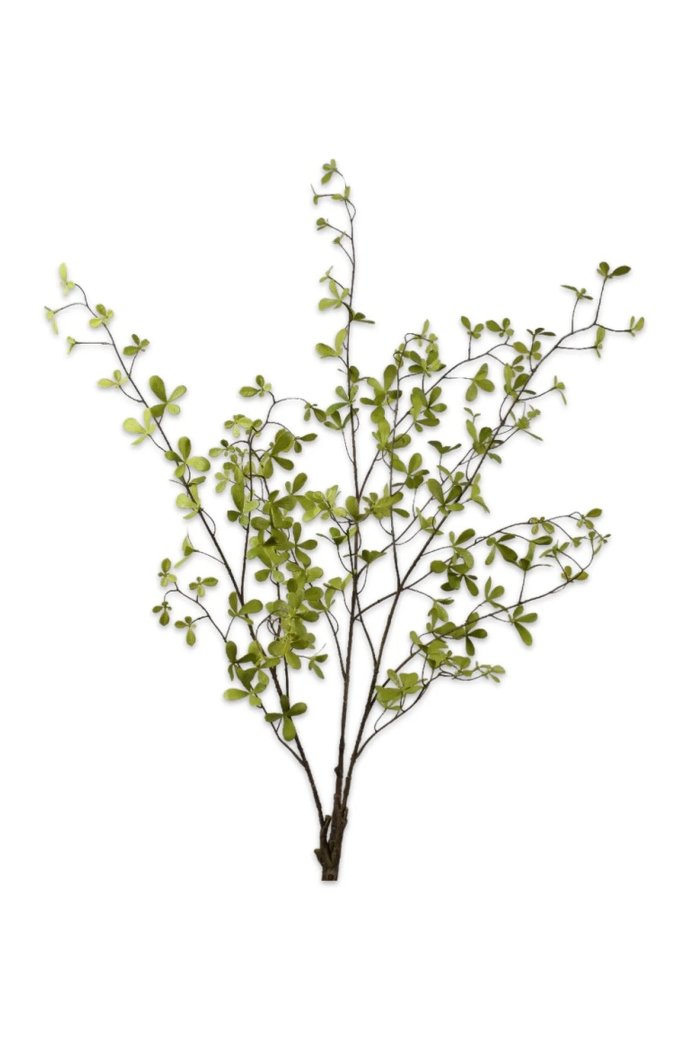 Naturtro kunstig grøn plante i elegant hvid krukke perfekt til hjem og kontor